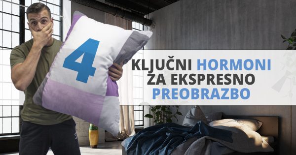 PP blog 4 kljucni hormoni za ekspresno preobrazbo