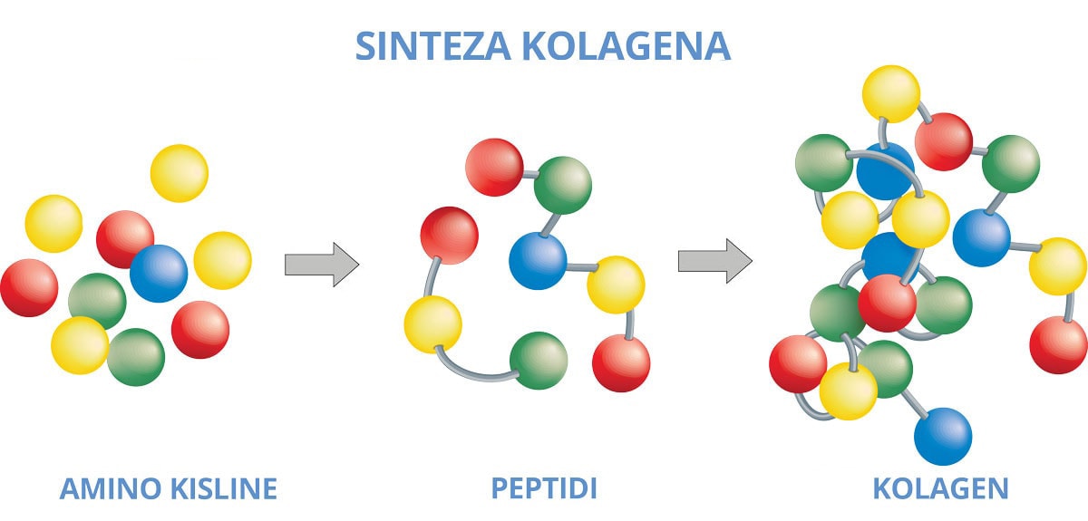 sinteza