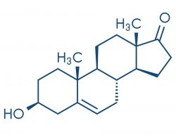 progesteron formula