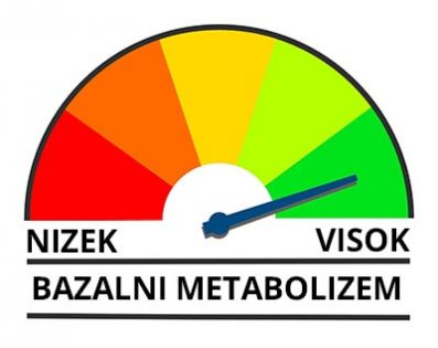 bazalni metabolizem