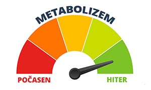 metabolizem