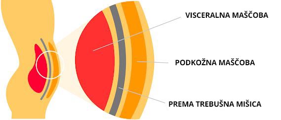 zakaj je maščoba na trebuhu lahko nevarna