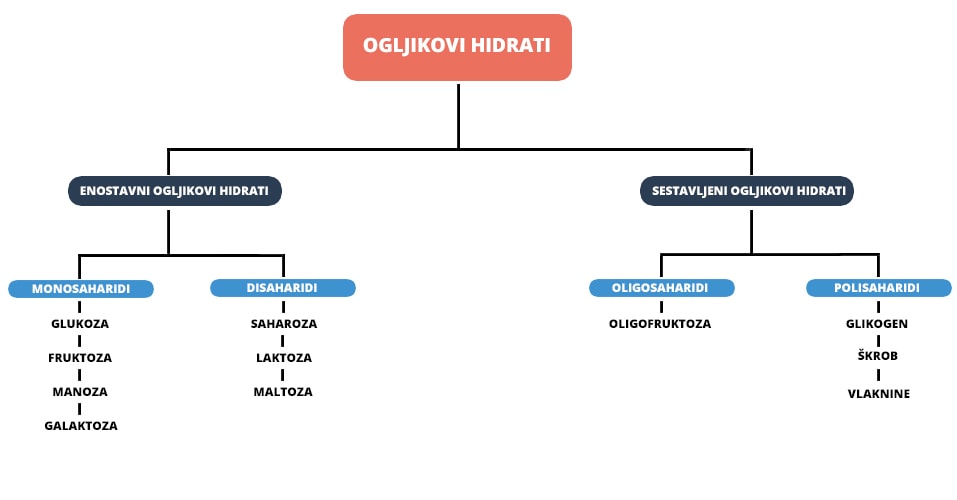 vrste ogljikovih hidratov