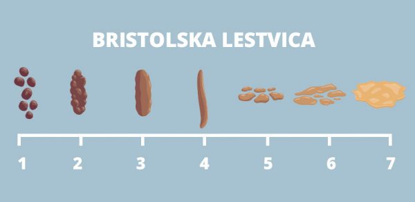 Bristolska lestvica blata